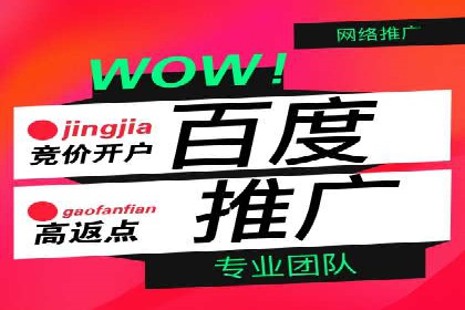 百度SEO推广案例解析与效果评估